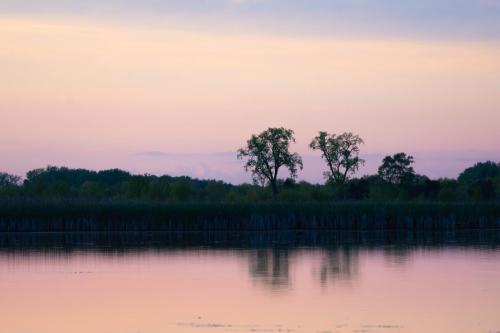 Sunset in the Wetlands